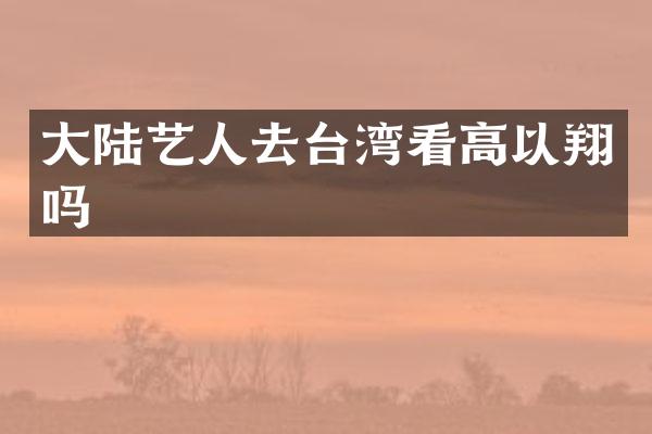 大陆艺人去台湾看高以翔吗