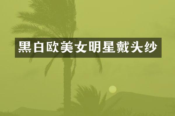 黑白欧明星戴头纱