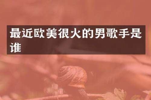 最近欧美很火的男歌手是谁