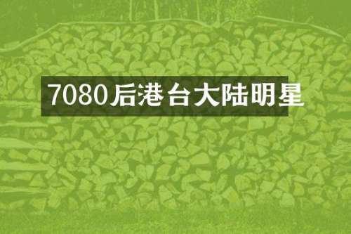 7080后港台大陆明星