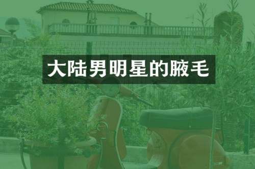 大陆男明星的腋毛