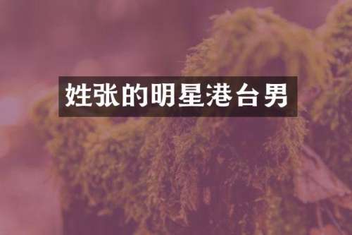 姓张的明星港台男