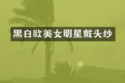 黑白欧明星戴头纱