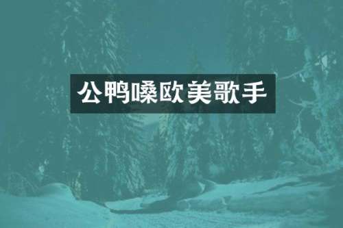 公鸭嗓欧美歌手
