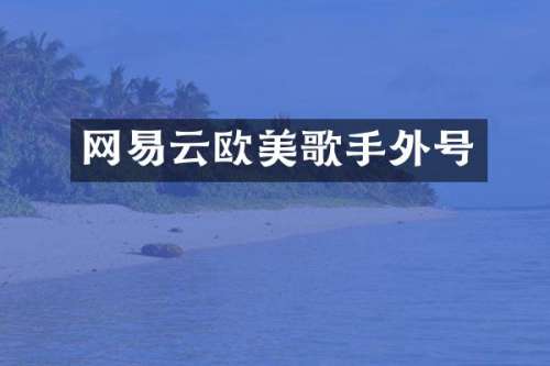 网易云欧美歌手外号