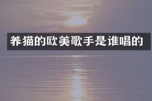 养猫的欧美歌手是谁唱的