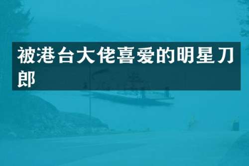被港台大佬喜爱的明星刀郎