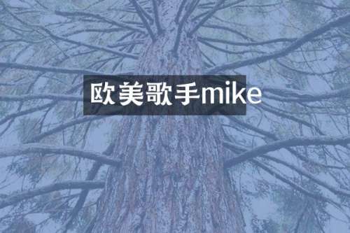欧美歌手mike