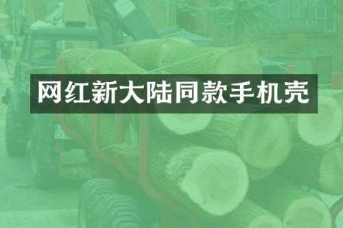 网红新大陆同款手机壳