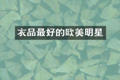 衣品最好的欧美明星
