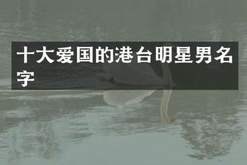 十大爱国的港台明星男名字