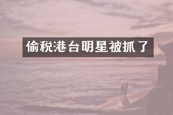 偷税港台明星被抓了