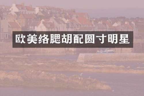 欧美络腮胡配圆寸明星