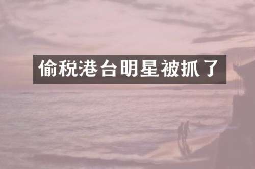 偷税港台明星被抓了
