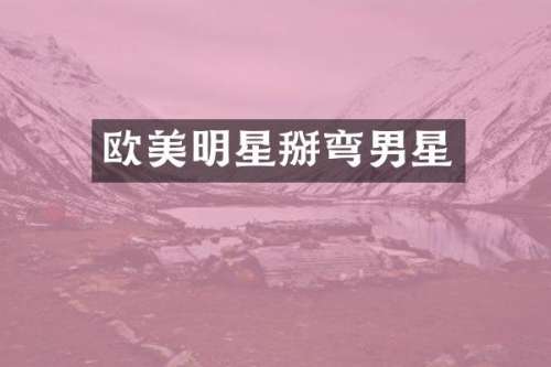欧美明星掰弯男星