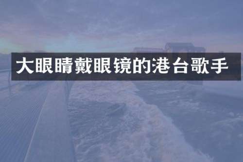 大眼睛戴眼镜的港台歌手
