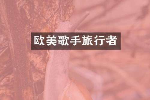 欧美歌手旅行者