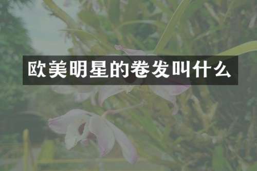 欧美明星的卷发叫什么
