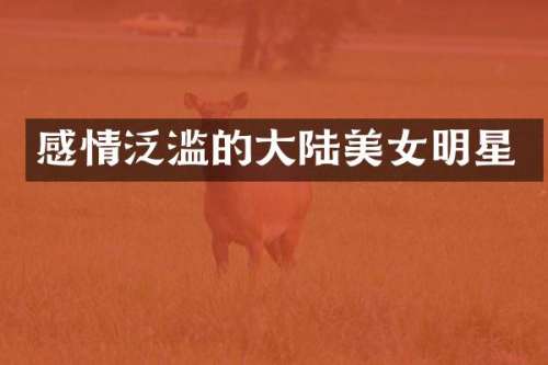 感情泛滥的大陆明星
