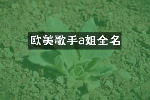 欧美歌手a姐全名