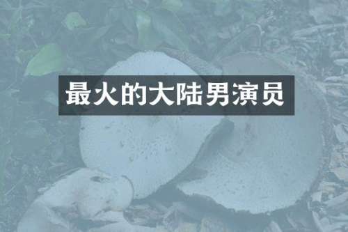 最火的大陆男演员