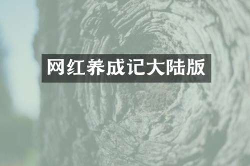 网红养成记大陆版