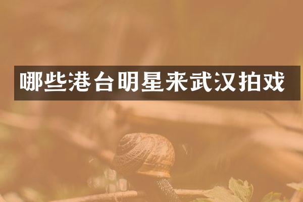 哪些港台明星来武汉拍戏