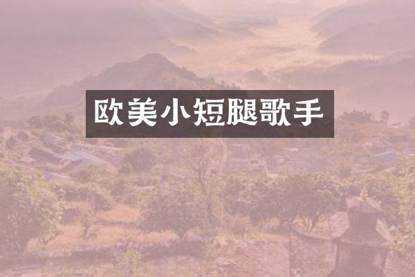 欧美小短腿歌手