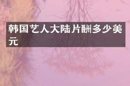 韩国艺人大陆片酬多少美元