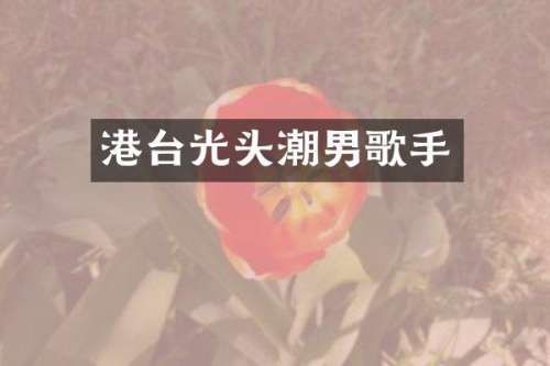 港台光头潮男歌手