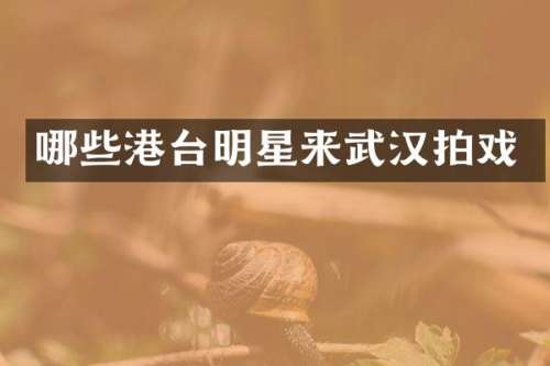 哪些港台明星来武汉拍戏