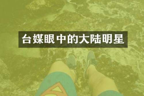 台媒眼中的大陆明星