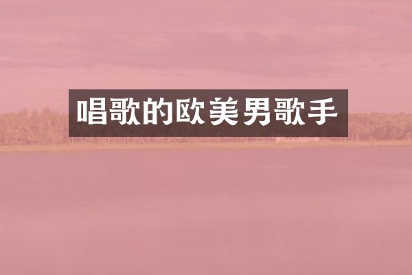 唱歌的欧美男歌手