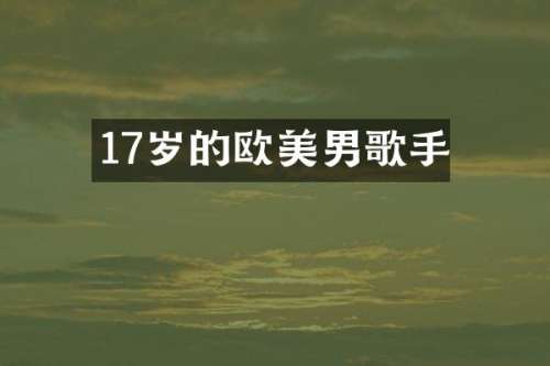 17岁的欧美男歌手