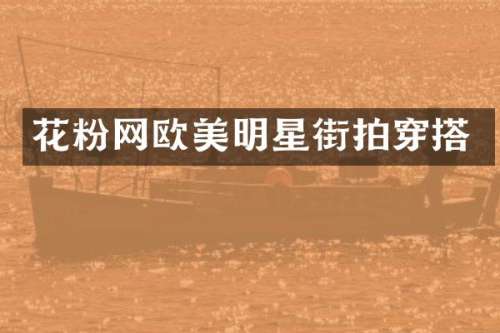 花粉网欧美明星街拍穿搭