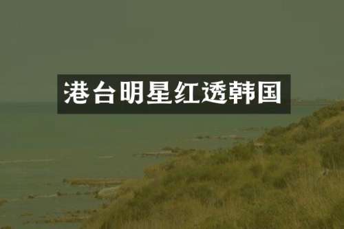 港台明星红透韩国