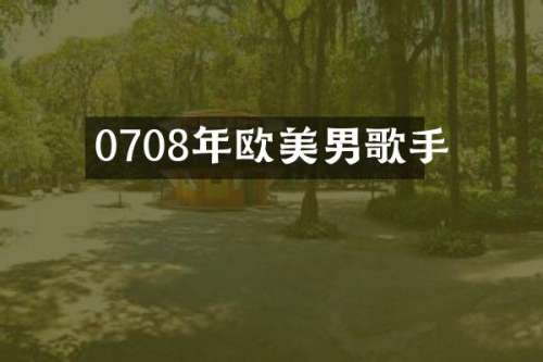 0708年欧美男歌手