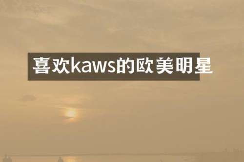 喜欢kaws的欧美明星