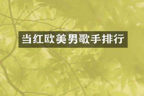 当红欧美男歌手排行