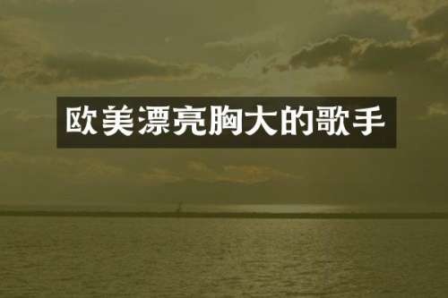 欧美漂亮大的歌手