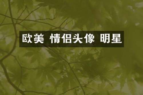 欧美 情侣头像 明星