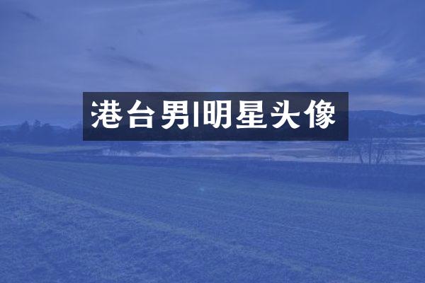 港台男I明星头像