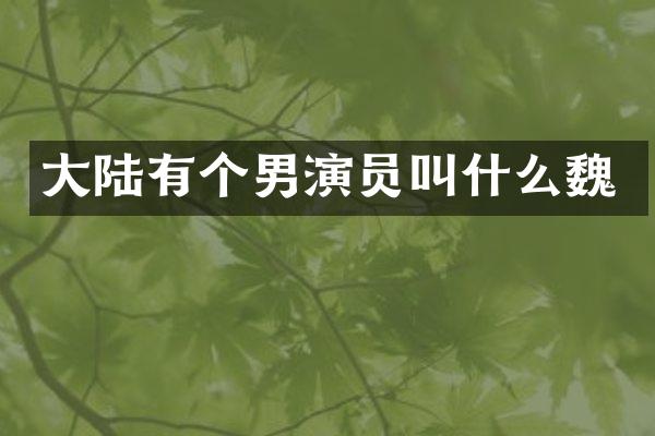 大陆有个男演员叫什么魏