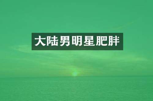 大陆男明星肥胖