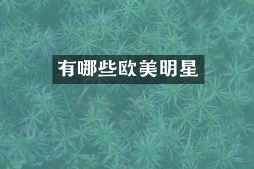 有哪些欧美明星