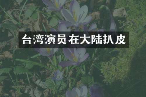 台湾演员在大陆扒皮