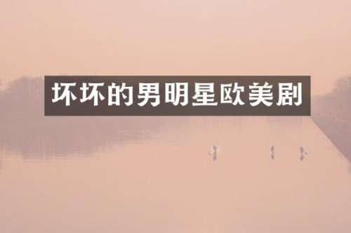 坏坏的男明星欧美剧