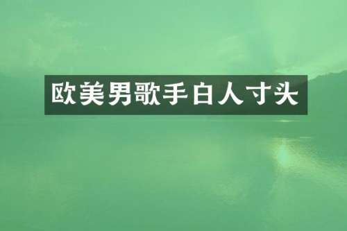 欧美男歌手白人寸头