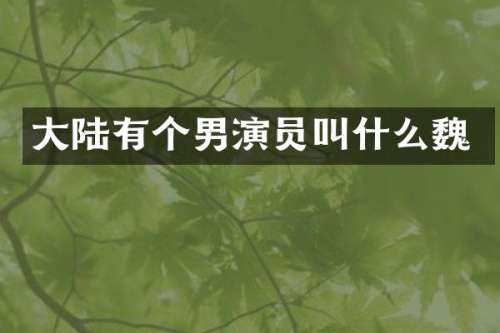 大陆有个男演员叫什么魏