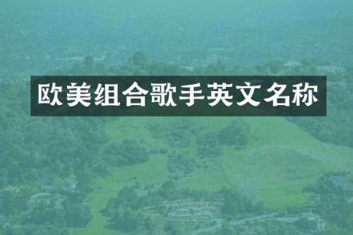 欧美组合歌手英文名称